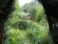 /album/perma-gazdovstvo/permaculture-garden-jpg/