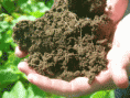 /album/perma-gazdovstvo/handful-of-soil-permacultur-gif/