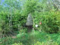 /album/perma-gazdovstvo/april-2011-permaculture-blog-010-jpg/