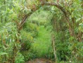 /album/perma-gazdovstvo/june-2011-bealtaine-permaculture-005-jpg/